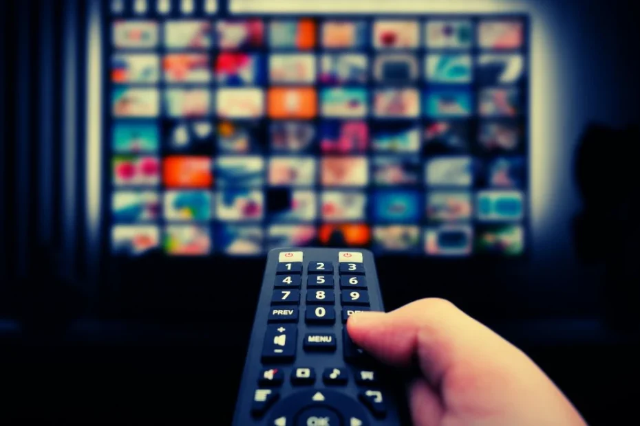 How to access the hidden catalog Hidden Netflix Codes Secret Codes