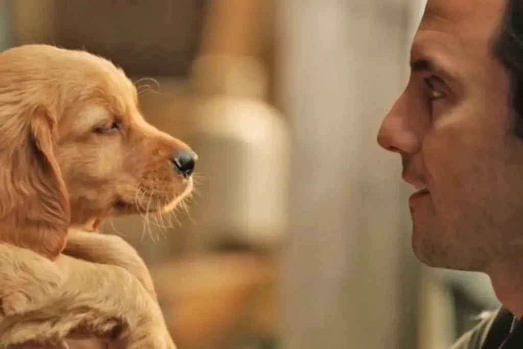 The Art of Racing in the Rain