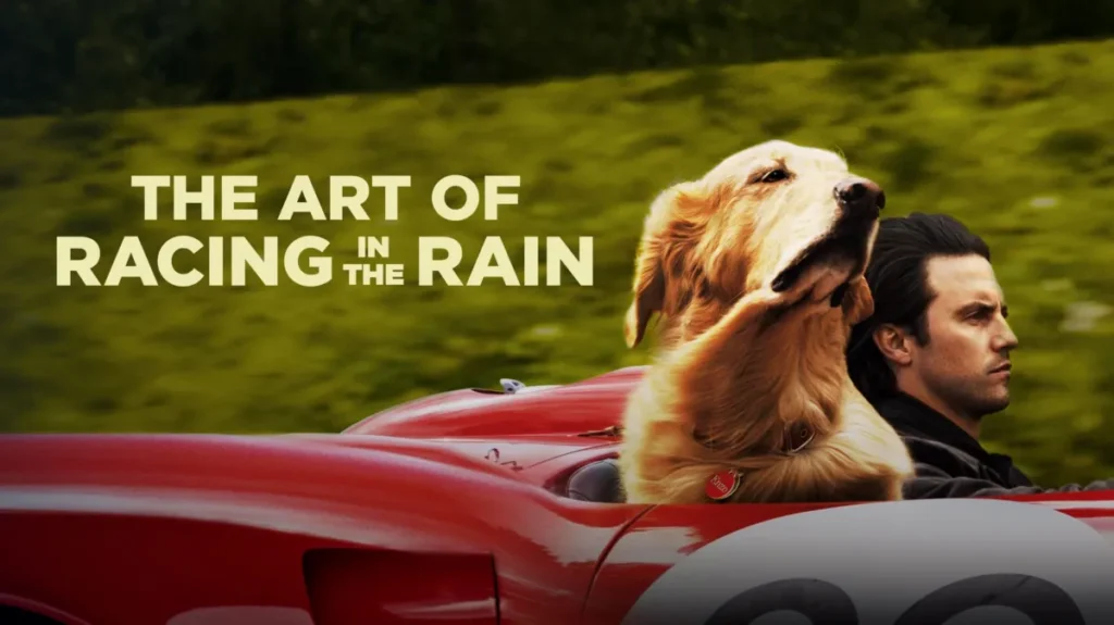 The Art of Racing in the Rain