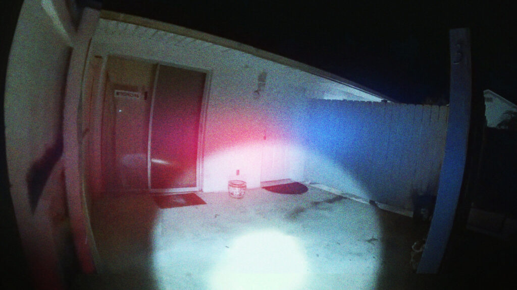 The Perfect Neighbor