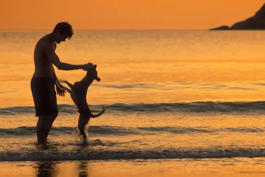 Caramelo: the Brazilian film is Netflix's surprise: on the Top 10 podium there is a very sweet film about friendship.