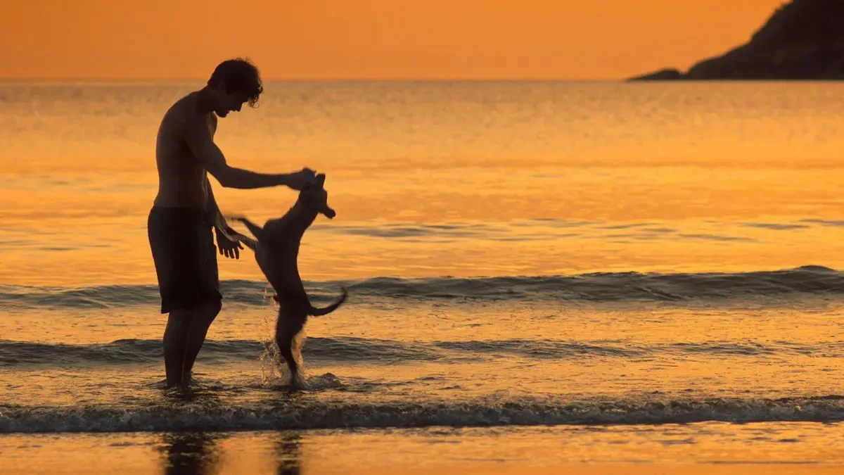 Caramelo Netflix film Brazil