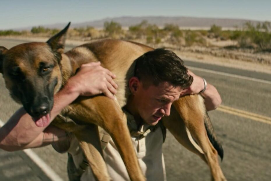 Dog drama movie Netflix