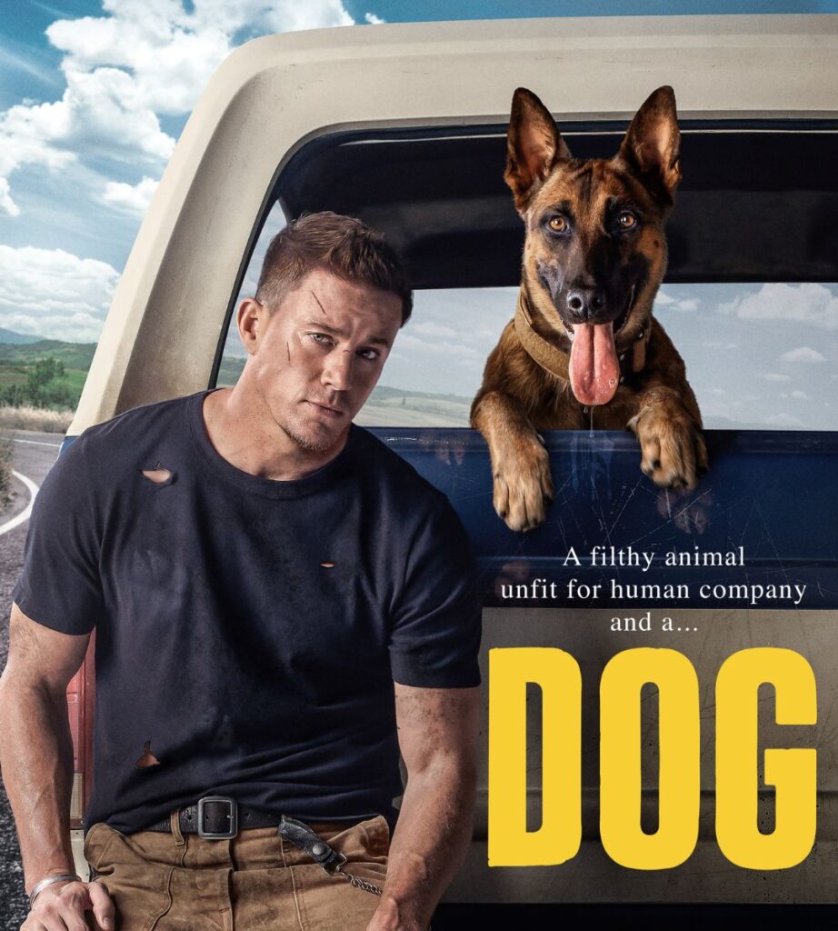 Dog drama movie Netflix