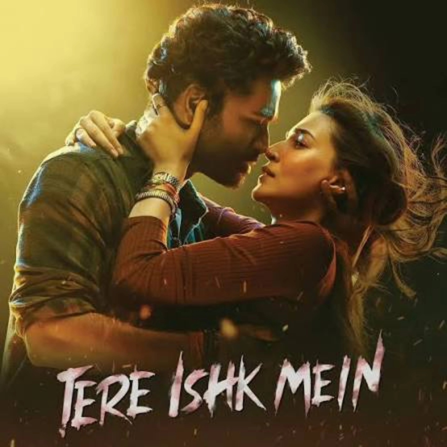 Tere Ishk Mein Netflix