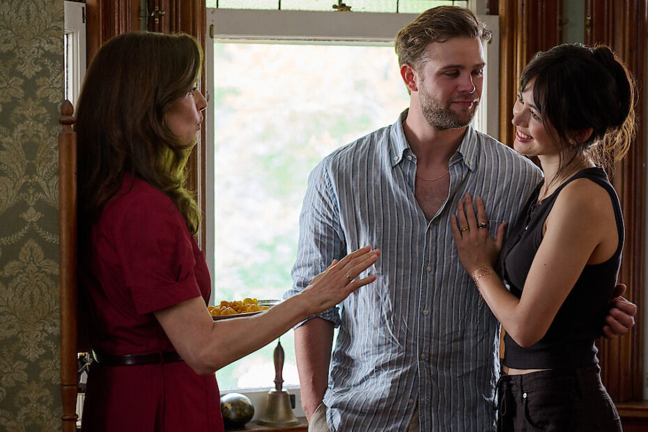 Vladimir Netflix series